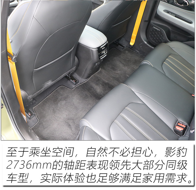 让人肾上腺素飙升 6.95秒破百的影豹竟如此迷人