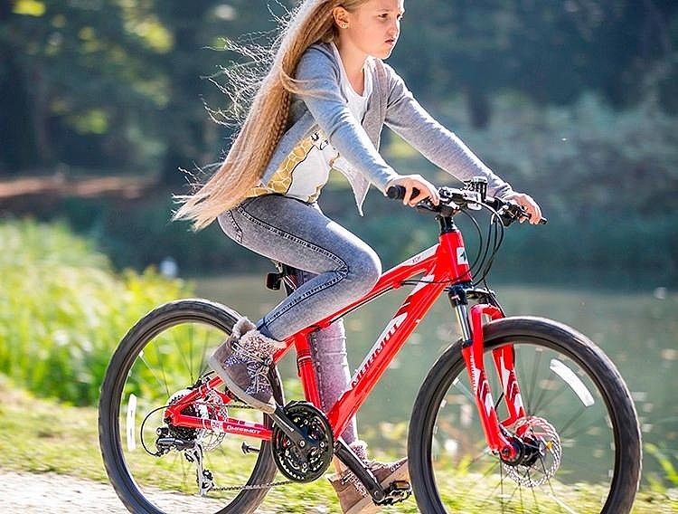 儿童自行车质量排行榜_中国儿童自行车质量排名全球十大学生山地自行车品牌排行榜