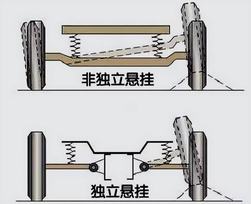 大悬臂带和小悬臂带图图片