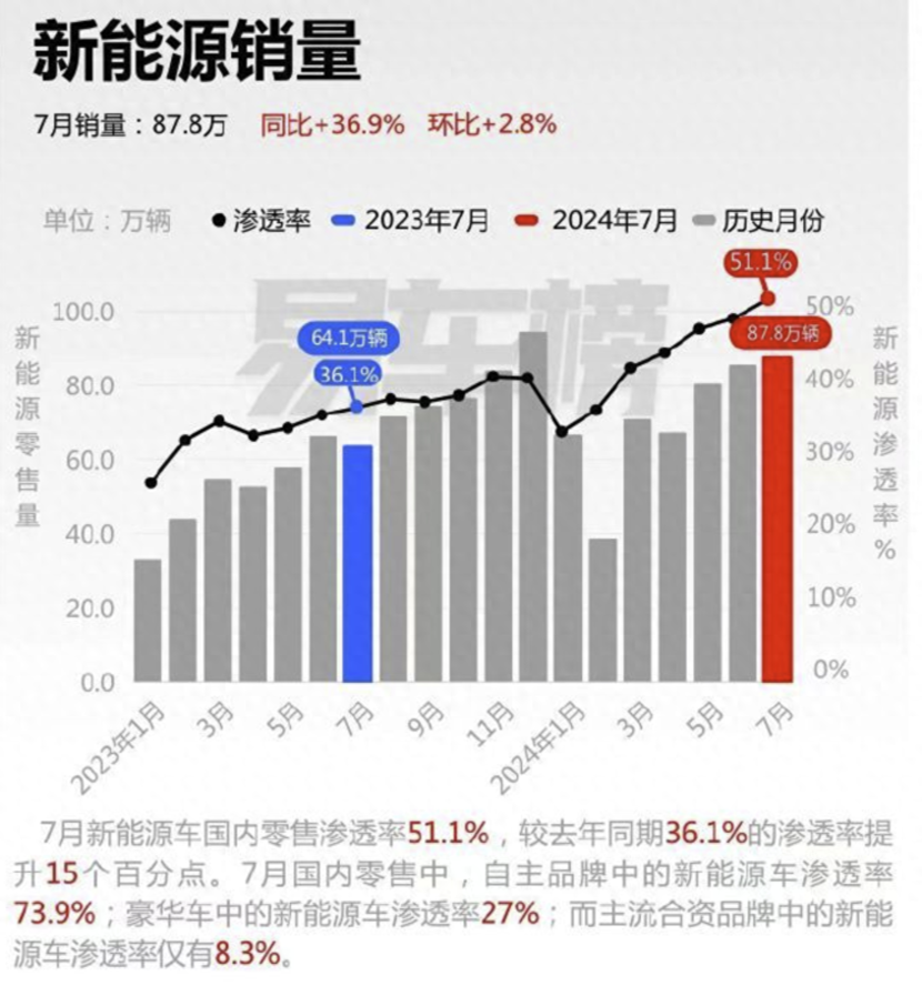 国产新能源汽车市场：比亚迪引领的辉煌飞跃