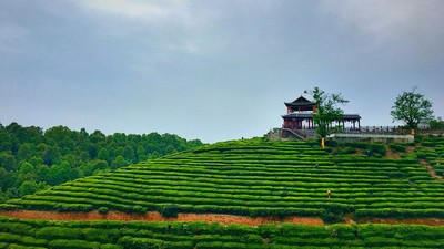 茶山观景台图片