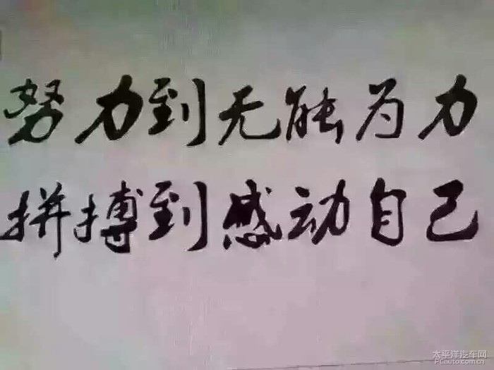 努力到无能为力拼搏到感动自己