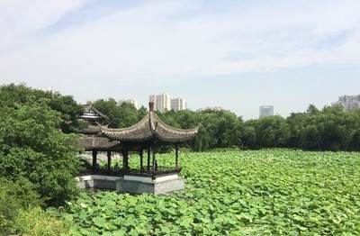 論壇 榮威e950論壇 蠡園是無錫最具有江南園林特點的園子,蠡園以水景