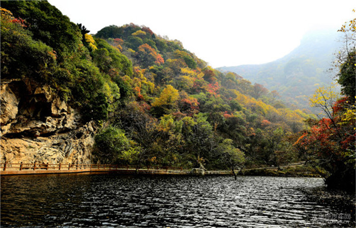 周圍秋天去哪玩西安周邊秋天旅遊推薦少華山賞紅葉玻璃棧道純玩1日遊