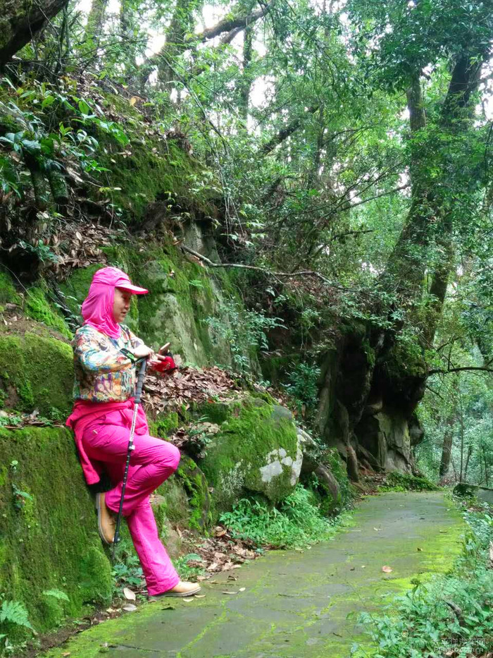 我為逸狂徒步紫溪山國家級森林公園