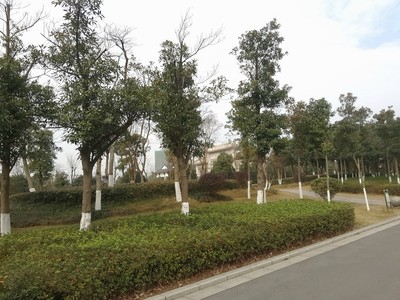 宁乡玉潭公园图片
