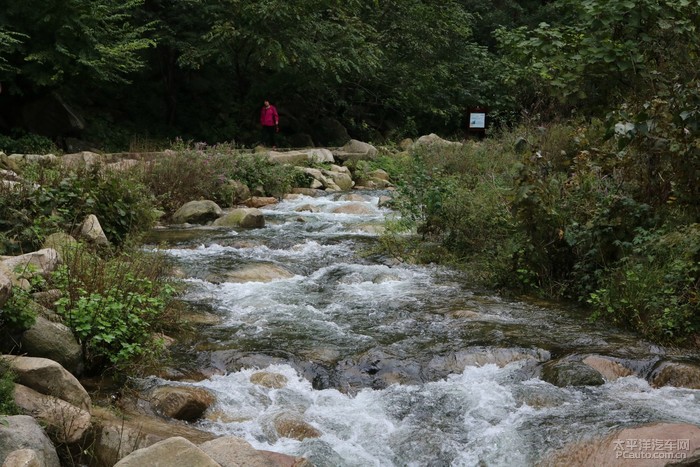 魯山想馬河