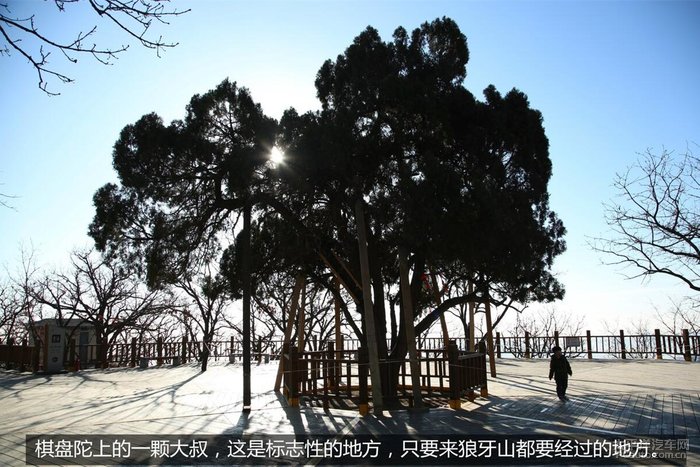 新春故事痛恨與自豪讀狼牙山五壯士遊記