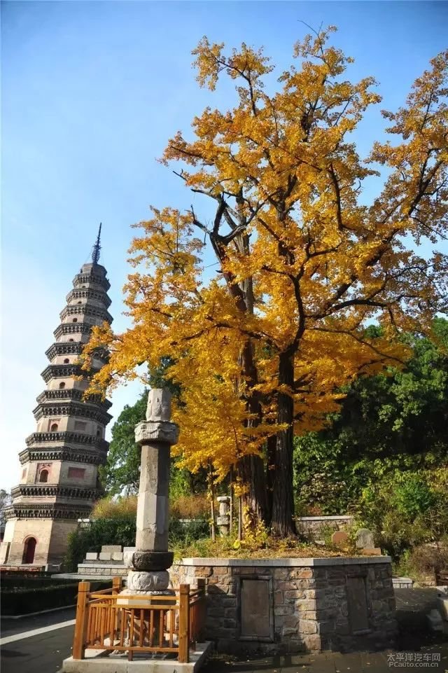 灵岩寺始建于公元351年,到了唐代,灵岩寺与浙江天台山国清寺,南京