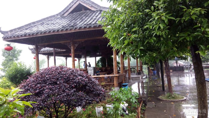 四川长安家族自然兄带小逸雨中选择活动现场青峰寺