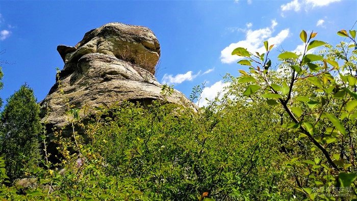 有沒門票的景區銅川金鎖關石林