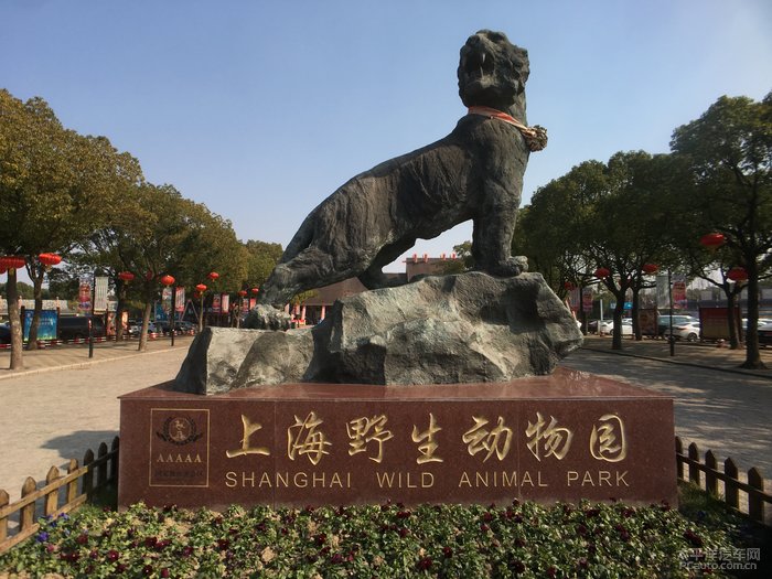 d90开路带孩子逛逛上海野生动物园