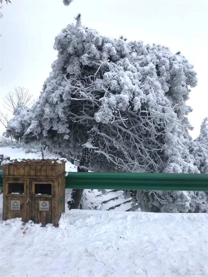 汉阴擂鼓台雪景图片