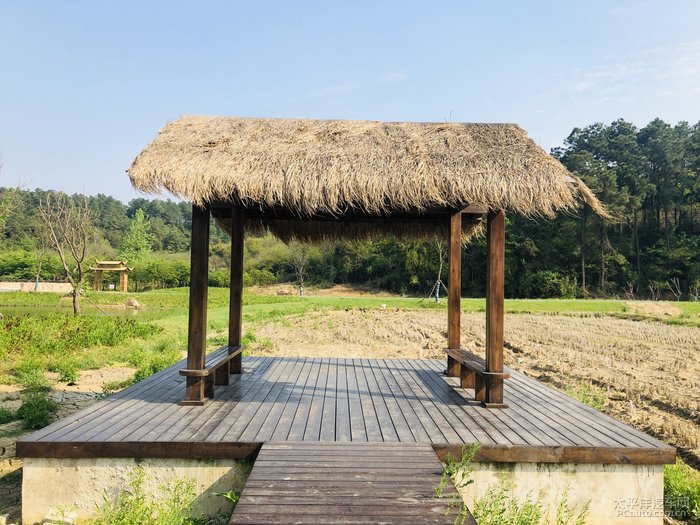 茅山仙姑村一日游