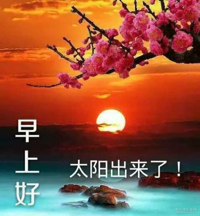 每日签到