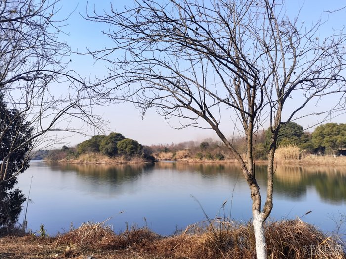 昆山天福生态园图片