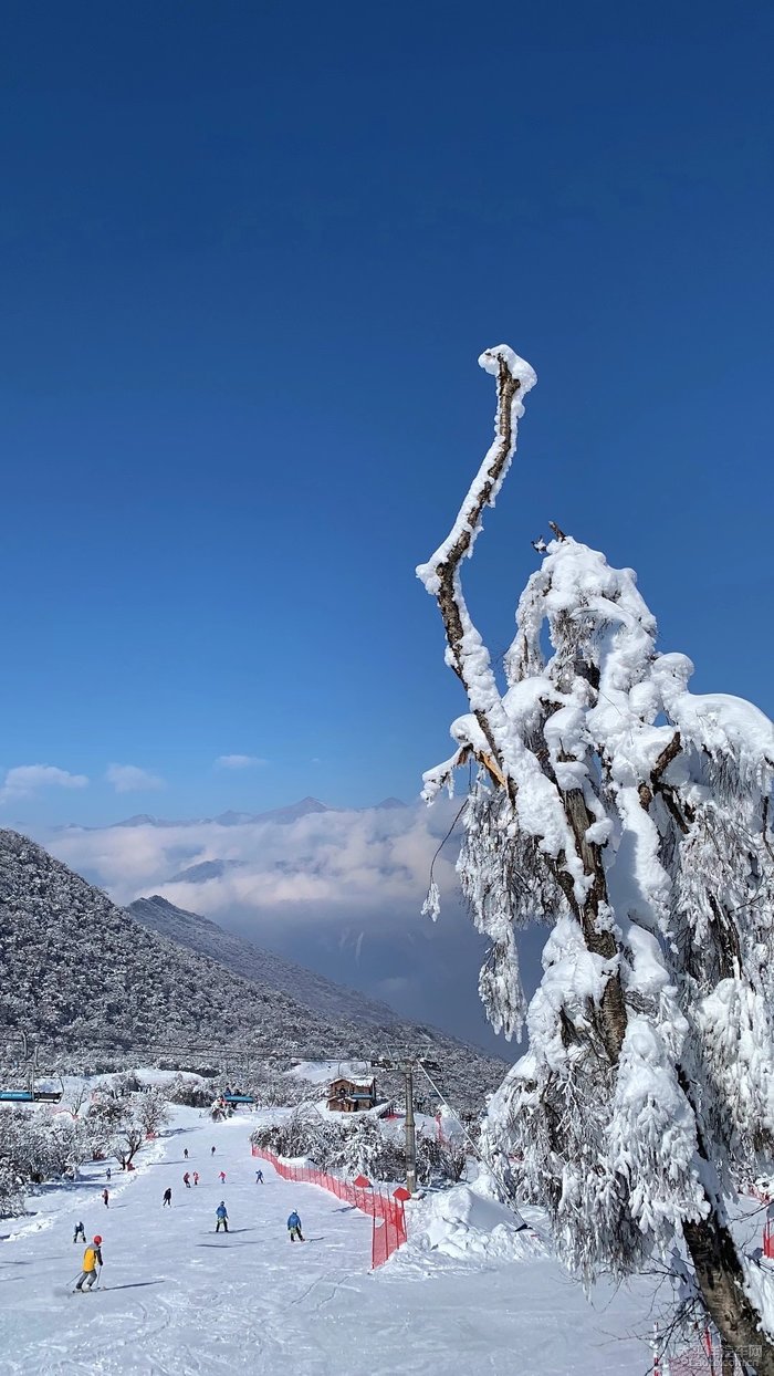 西岭雪山一日游