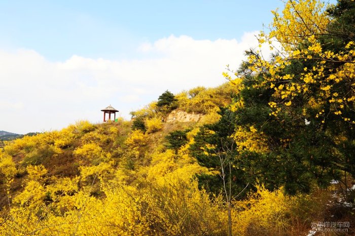 安泽黄花岭风景区攻略图片