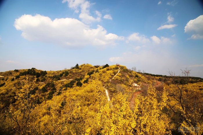 安泽县黄花岭景区图片