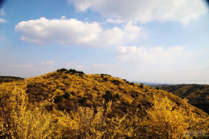 安泽黄花岭风景区攻略图片