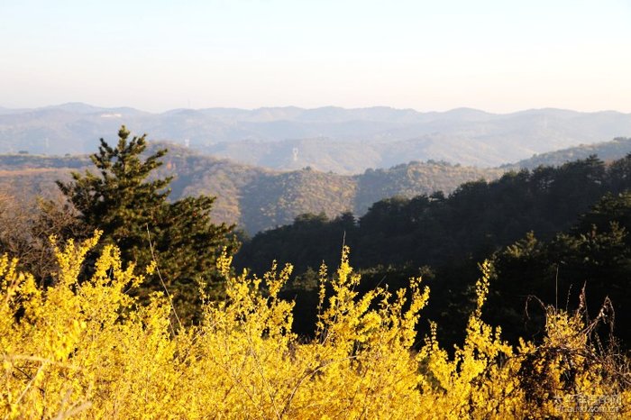 安泽黄花岭风景区图片