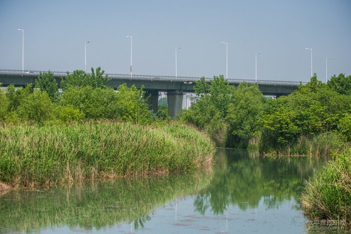 我玩兒故我在襄陽的月亮灣溼地公園