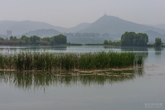 我玩兒故我在襄陽的月亮灣溼地公園