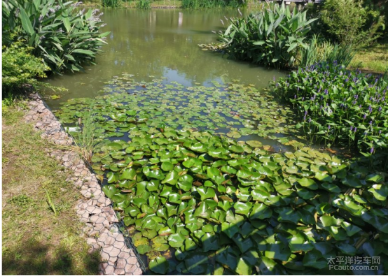 蘆蕩湖溼地公園一日遊