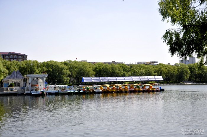 風景如畫的長春南湖公園