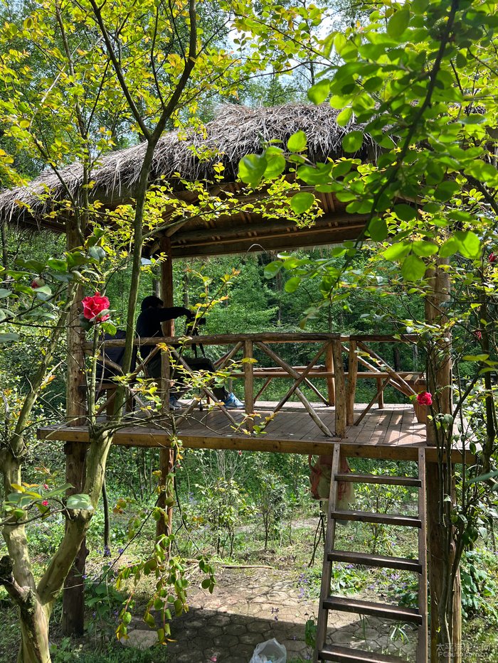 春日踏青出遊彭州葛仙山賞花記