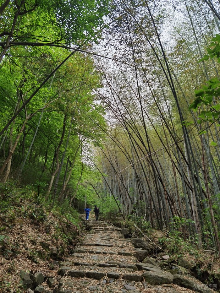 日铸岭古道图片