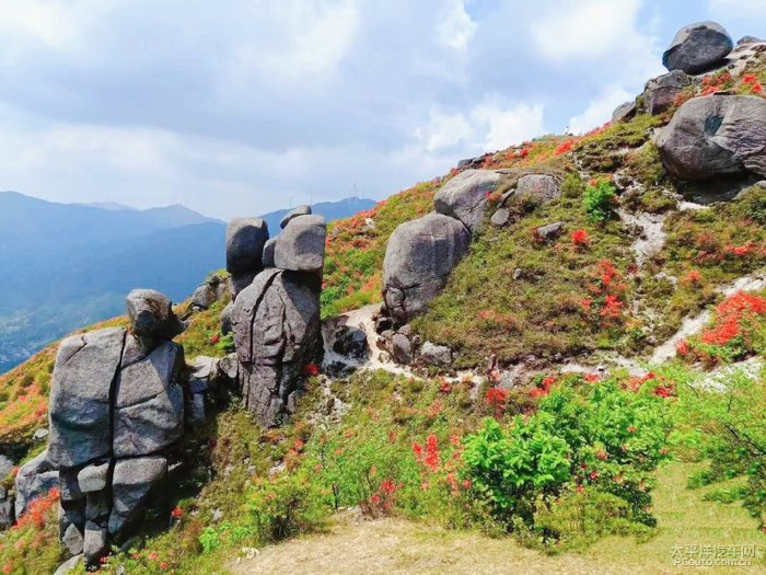 游玩郴州之桂阳扶苍山