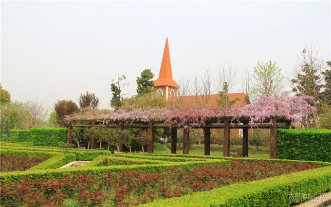 滁州花博园2022图片