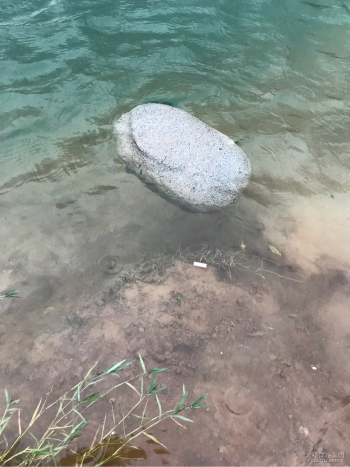 漂在水面上的石头,就是这么任性!