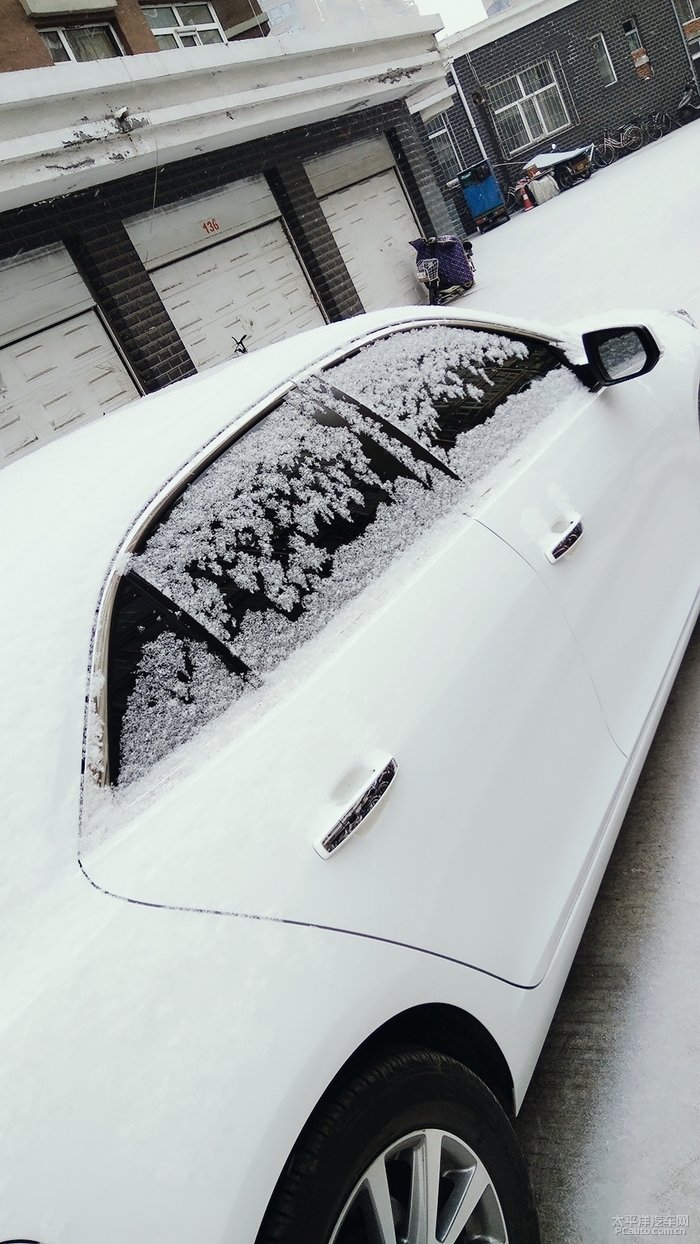 雪花与白大宝