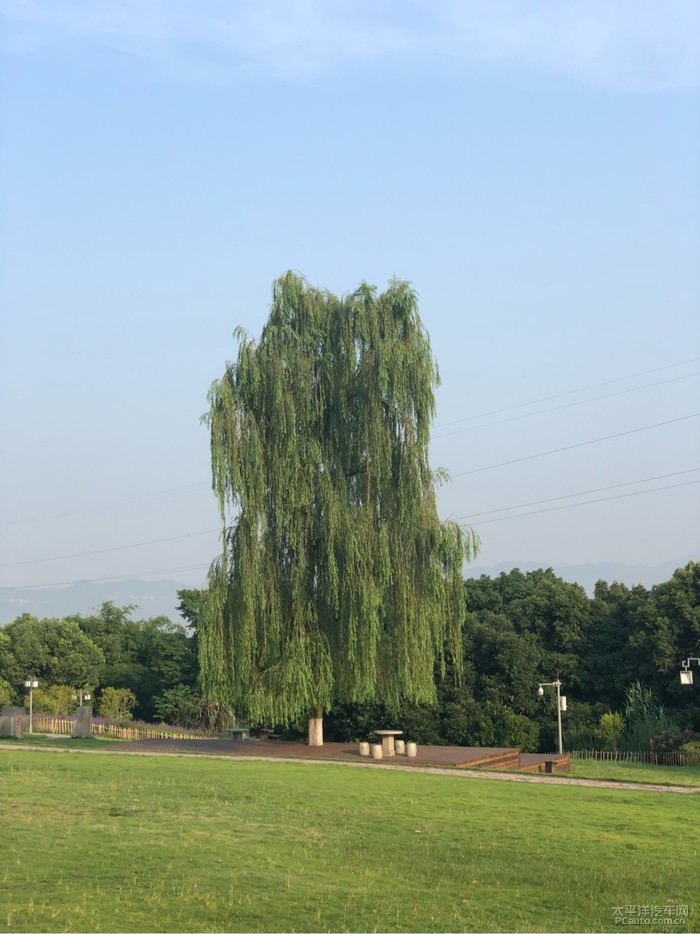 重慶睿騁車友會照母山森林公園吸氧