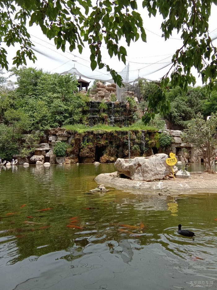 漯河神州鳥園一遊