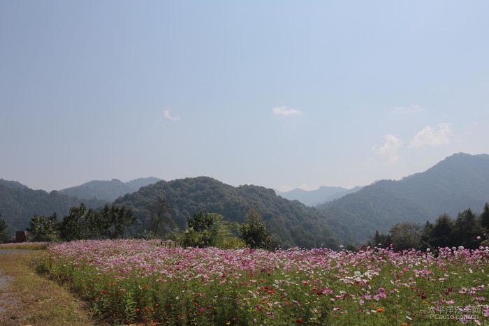 东江湖五岛一村环湖行