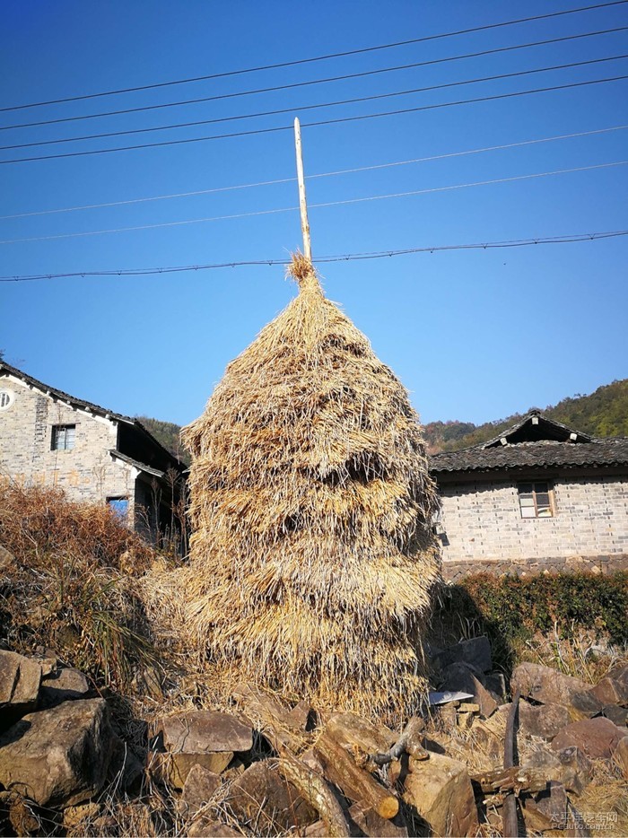 记忆深深的稻草垛