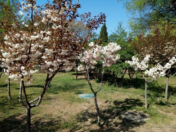 保定植物園