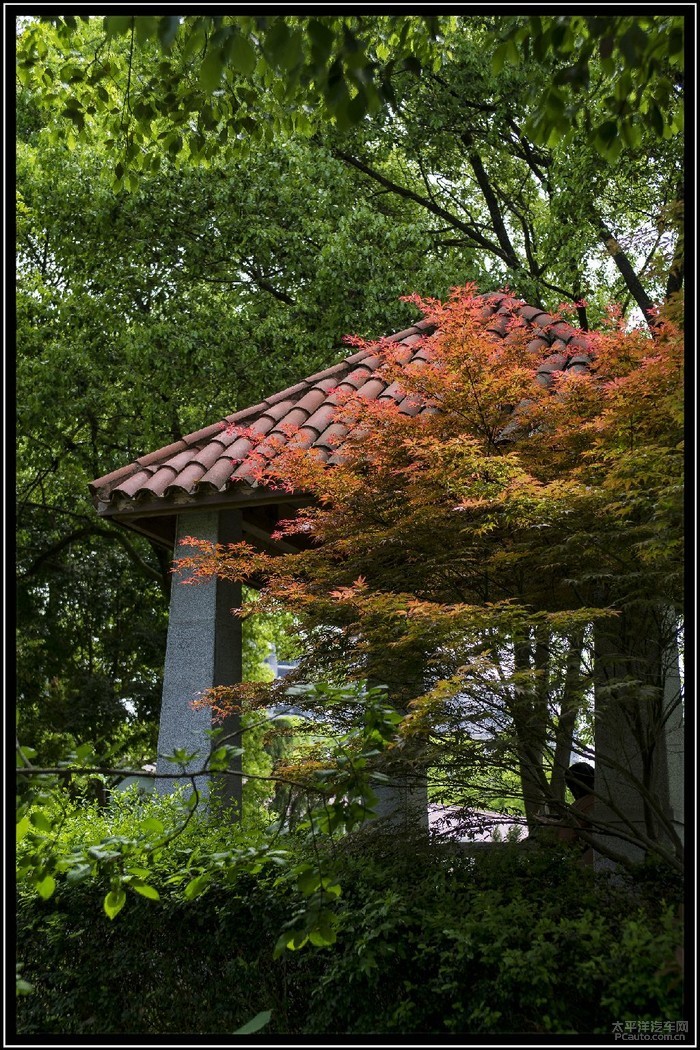 時間見證傳奇信步湘鄉碧洲公園觸摸先賢英烈脈搏