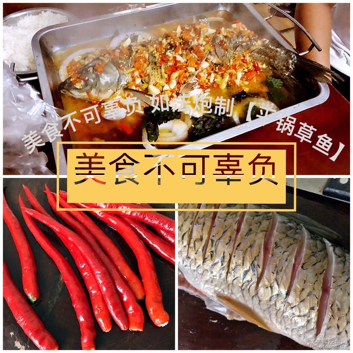 美食不可辜負如法炮製平鍋草魚