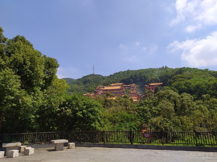 遊大嶺山森林公園