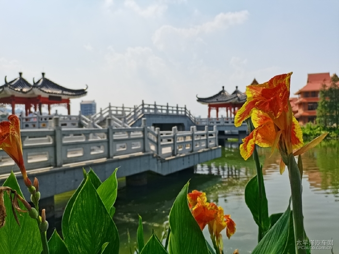 华阳湖国家湿地公园图片