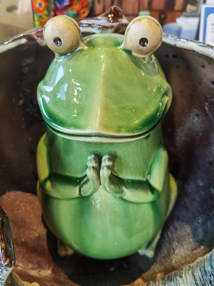 青蛙是黎族同胞的图腾