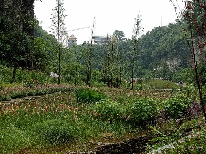 多彩貴州踏足雲棲谷美麗雙龍鎮多彩貴州暢享唯慢生活