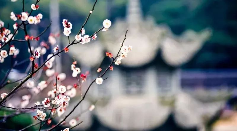 汪洙"久旱逢甘雨,他乡遇故知 的惊喜重逢.